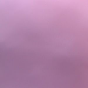 Meet your Posher, Wendy